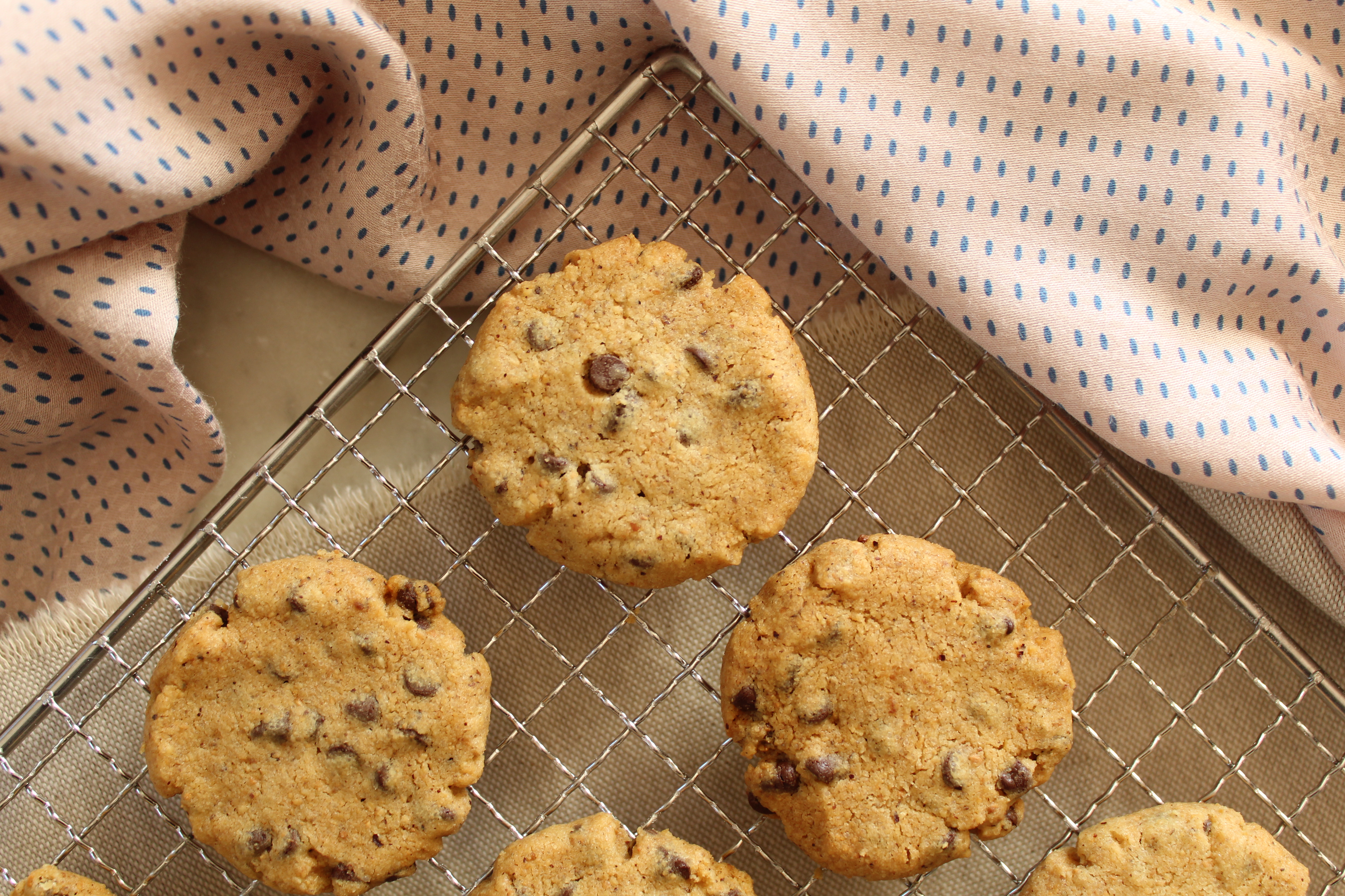 Biscotti Di Natale Nocciole.Cookies Con Gocce Di Cioccolato E Nocciole Mangioridoamo